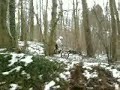 bois moto trial
