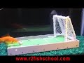 [Video]