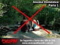 Trote do Chupim - Aniz�ia Dom�stica [parte1]