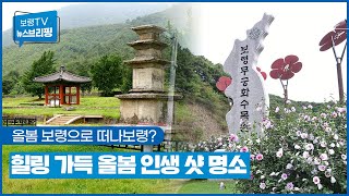 뉴스브리핑ㅣ올 봄, 보령으로 떠나는 힐링 여행