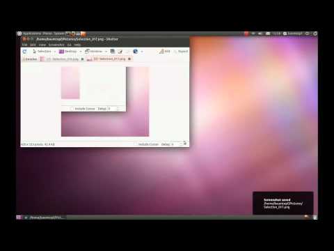 how to take snapshot in ubuntu