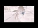 FF 7 - AC - Everlong (foo fighter)