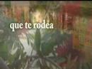 Siente este cielo que te rodea