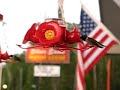 Hummingbird feeders