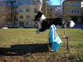 sammi jumping