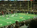Sabercats tackl