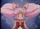 The Heoric Attempt of Sailor Chibi Moon