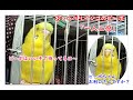 おしゃべりインコのピーポです 一人二役