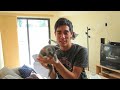Jedi Kittens - Behind The Scenes