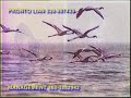 LIAN - FUORI DAL BUIO VIDEO STORY