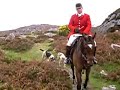 bumping into Dartmoor Fox hunt bumping into Dartmoor Fox hunt