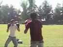febres box (gus vs steve)