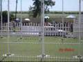 Slalom Pirelli 2008 no6