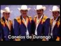 LOS CANELOS DE DURANGO - ESTA NOCHE ME LA RIFO