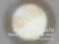 Alex feat. Sushi / Hova menjek (Club mix)