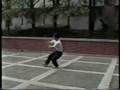 Bong bu Tanglang Quan 螳螂拳崩步
