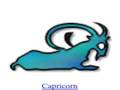 Weekly Horoscope for all 12 signs - November 24th, 2008
