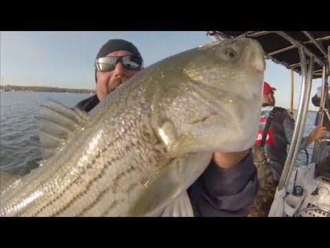 how to measure a fish ny
