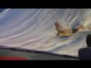 In laws do flowrider in america