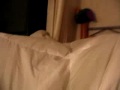 radnom
