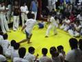 Capoeira de Crianças