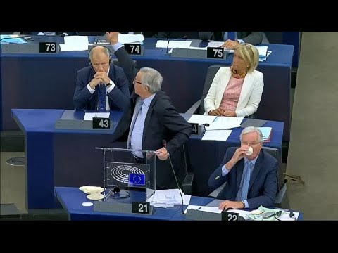 EU: Brexit provoziert Schrei-Gefechte im Europischen ...