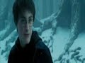 sirius black sirius black