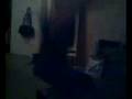 white boy boppin