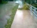 videos de MI LIL BRO ACTIN LIK A REPORTER DURIN THA HURRICAN IKE