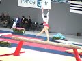 Bercy 2007 (final) - Steliana Nistor (beam) Bercy 2007 (final) - Steliana Nistor (beam)