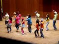 fsa asa performance 2005