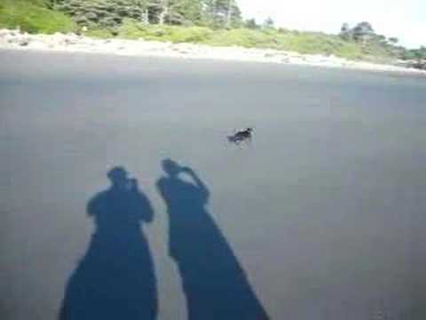 Spike at the Beach