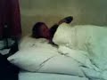 Berlin ep.5: un koala nel letto
