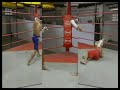 www.body-factory.pl