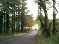 Townparks Glens of Antrim Rally 2008