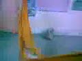 See video