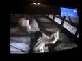 videos de Badass Clone Troopers
