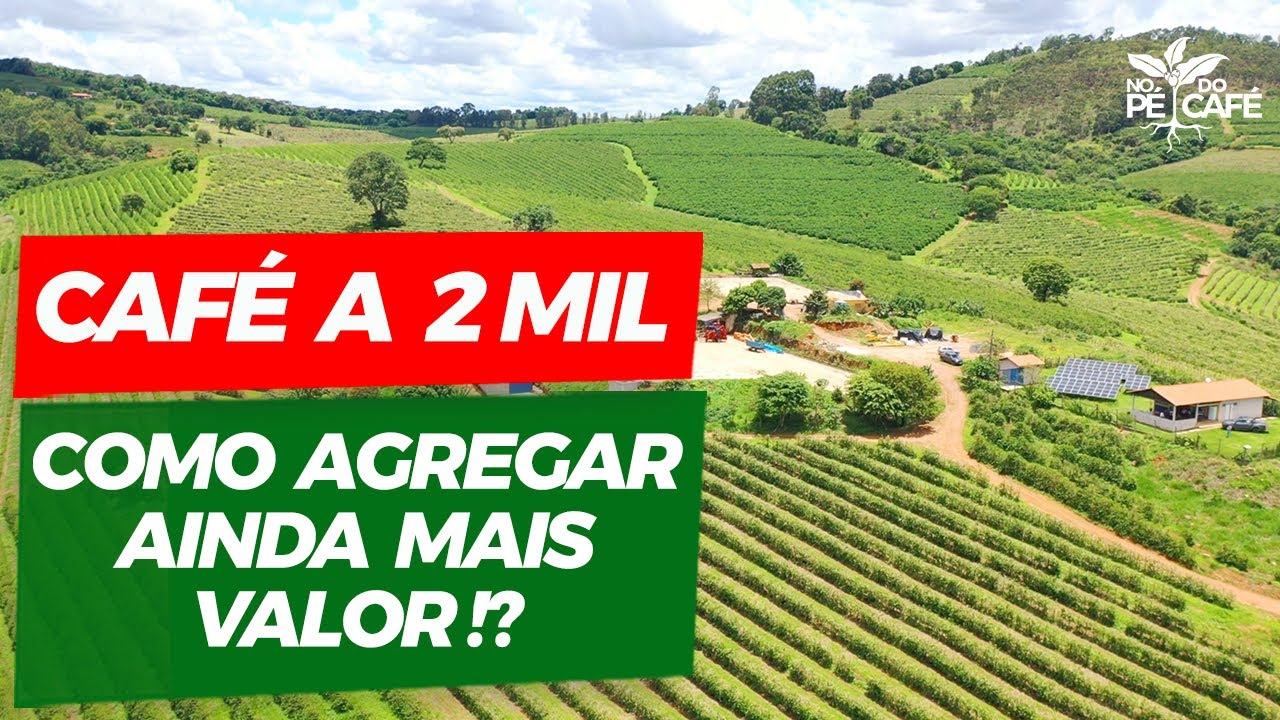 Essa família do Sul de Minas agrega mais valor ao café!| No Pé do Café