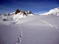 le-jeux-de-popol-le-