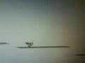 videos de Line rider