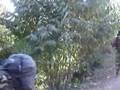 Maoist-at-Rolpa-Nepa