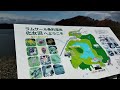 #化女沼#ダム#ラムサール条約🦆🦢#湿地帯#渡り鳥#飛来地#miyagi#japan#古川#大崎市