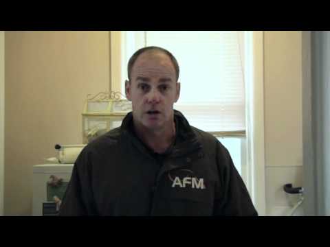 how to get rid birds