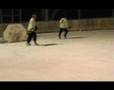 Park hockey goal