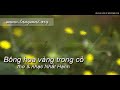 Bông hoa vàng trong cỏ - thơ&nhạc Nhất Hạnh