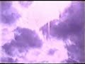 amputee ira little swallow 4