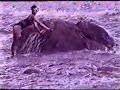 amputee ira little swallow 4