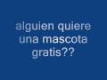 cerdos ramblas