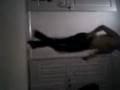 tuck  shuff =]