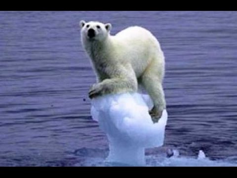 PJTV - How 'Social Proof' Kills Scientific Skepticism and Conquers Morality